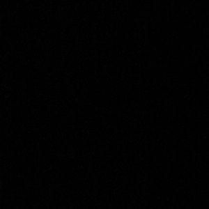 Meet your Posher, Nelson